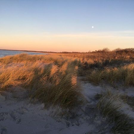 FeWo Sonnenblume Achtern Diek in Ostseeheilbad Zingst Exterior foto