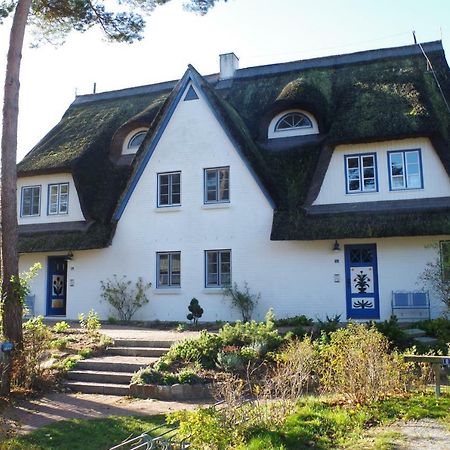 FeWo Sonnenblume Achtern Diek in Ostseeheilbad Zingst Exterior foto