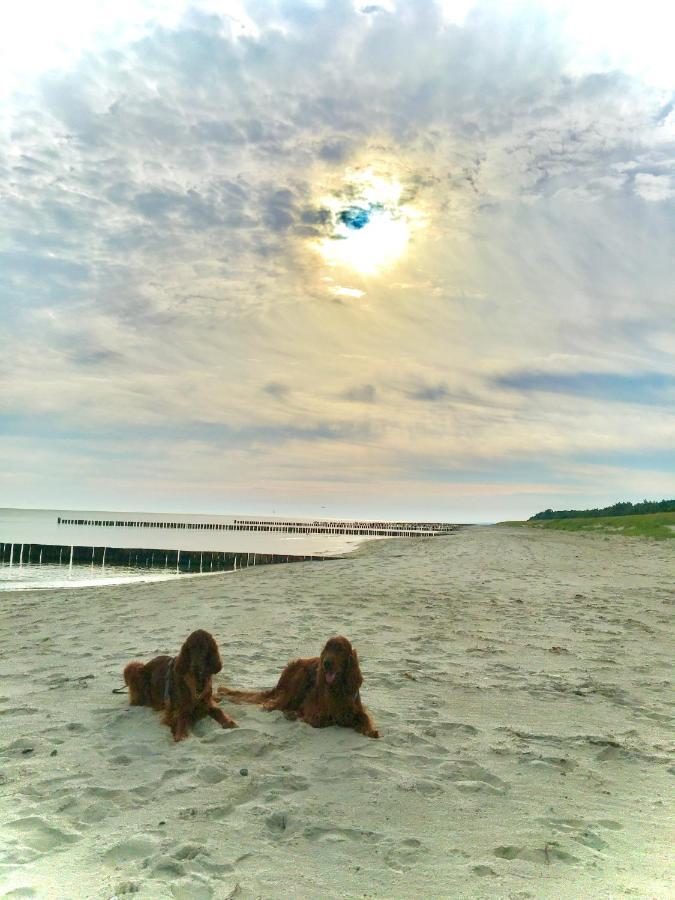 FeWo Sonnenblume Achtern Diek in Ostseeheilbad Zingst Exterior foto