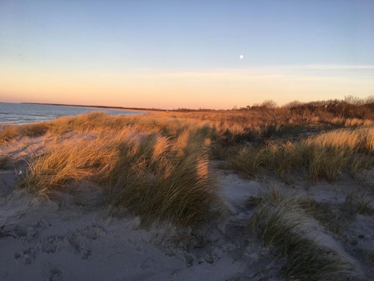 FeWo Sonnenblume Achtern Diek in Ostseeheilbad Zingst Exterior foto