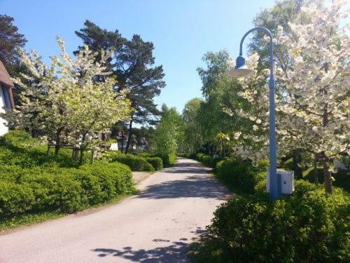FeWo Sonnenblume Achtern Diek in Ostseeheilbad Zingst Exterior foto
